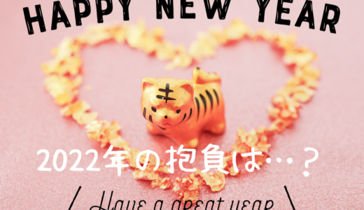 【2022年】新年あけましておめでとうございました。今年の抱負を述べます
